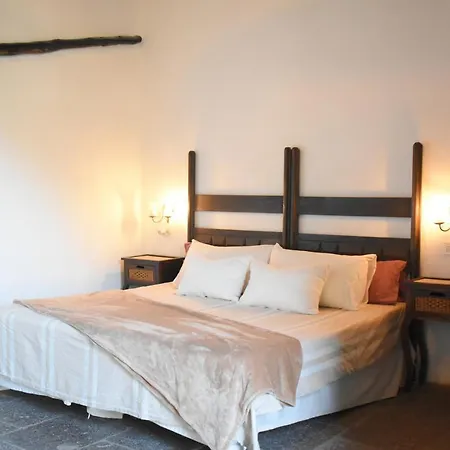 Finca Mariola - Centenaria-3